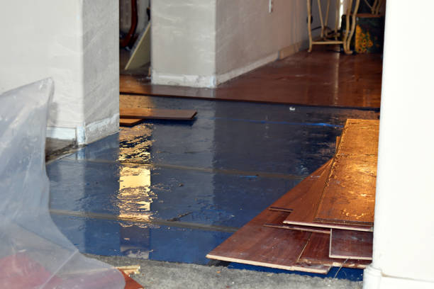 Professional Basement Flood Cleanup technician working in Oakdale, LA